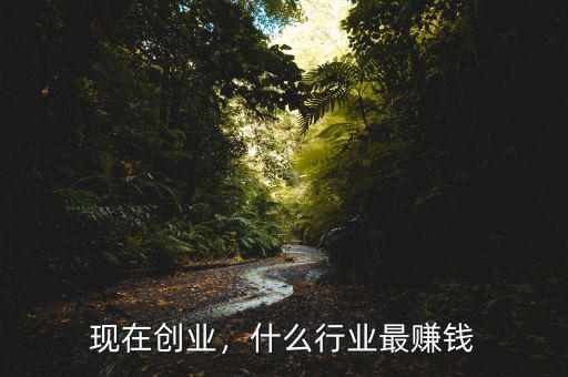 現(xiàn)在創(chuàng)業(yè)，什么行業(yè)最賺錢