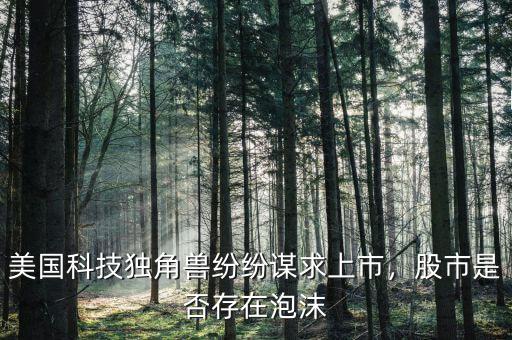 美國(guó)科技獨(dú)角獸紛紛謀求上市，股市是否存在泡沫