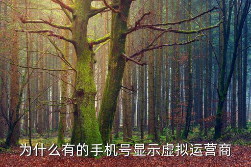 為什么有的手機號顯示虛擬運營商