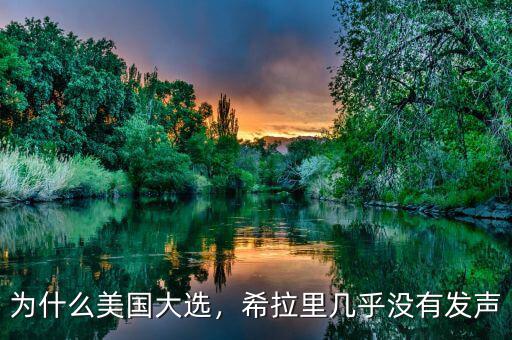 為什么美國大選，希拉里幾乎沒有發(fā)聲
