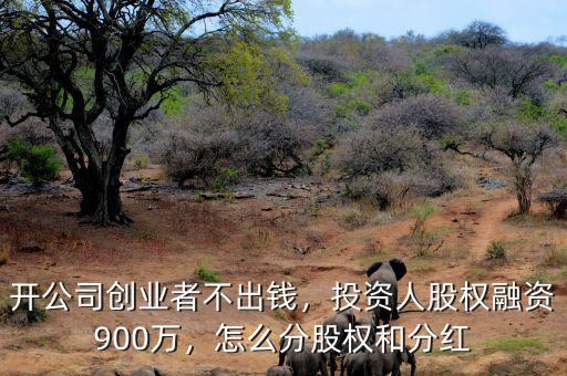 開公司創(chuàng)業(yè)者不出錢，投資人股權(quán)融資900萬，怎么分股權(quán)和分紅