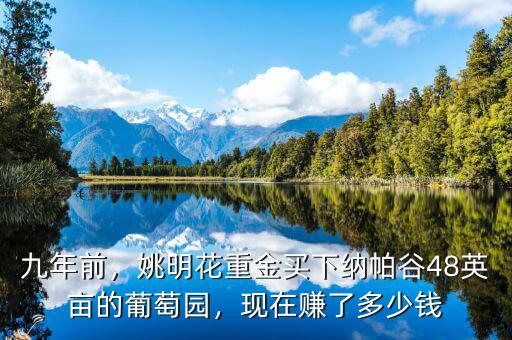 九年前，姚明花重金買下納帕谷48英畝的葡萄園，現(xiàn)在賺了多少錢