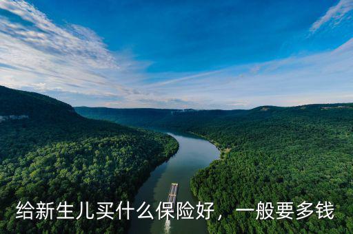 給新生兒買什么保險好，一般要多錢