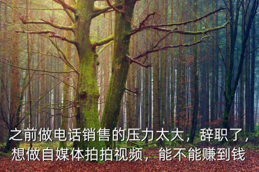 之前做電話銷售的壓力太大，辭職了，想做自媒體拍拍視頻，能不能賺到錢