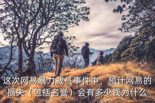 這次網(wǎng)易暴力裁員事件中，預(yù)計(jì)網(wǎng)易的損失（包括名譽(yù)）會(huì)有多少錢為什么