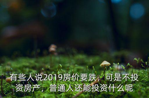 有些人說2019房價要跌，可是不投資房產(chǎn)，普通人還能投資什么呢