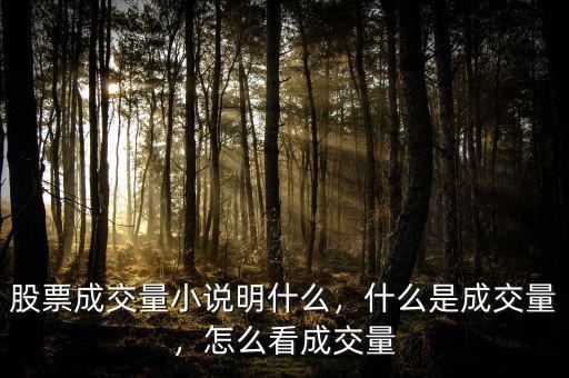 股票成交量小說明什么，什么是成交量，怎么看成交量
