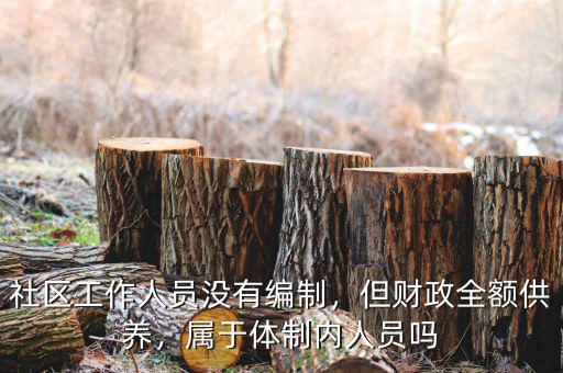 社區(qū)工作人員沒有編制，但財政全額供養(yǎng)，屬于體制內(nèi)人員嗎