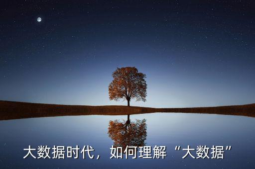 大數(shù)據(jù)時代，如何理解“大數(shù)據(jù)”