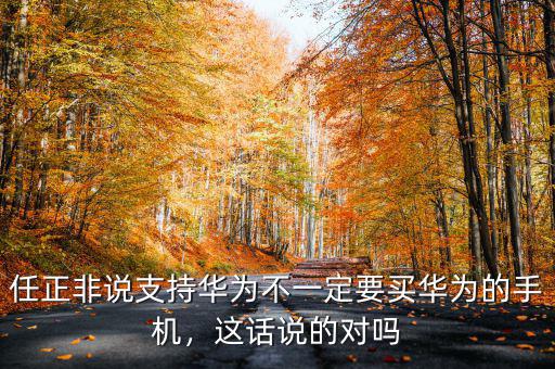 任正非說支持華為不一定要買華為的手機(jī)，這話說的對(duì)嗎