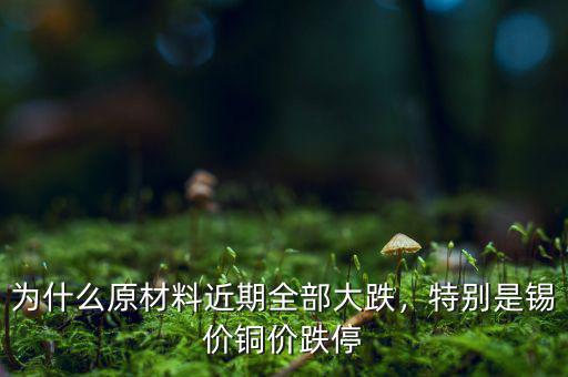 為什么原材料近期全部大跌，特別是錫價銅價跌停