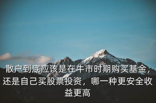 散戶到底應(yīng)該是在牛市時(shí)期購買基金，還是自己買股票投資，哪一種更安全收益更高