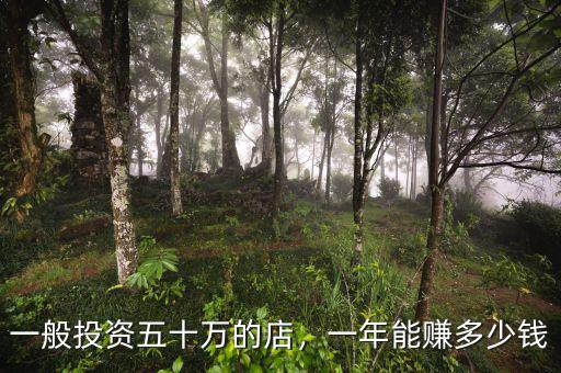 一般投資五十萬(wàn)的店，一年能賺多少錢