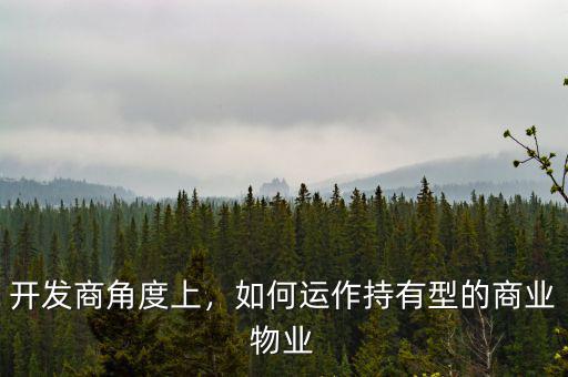 開發(fā)商角度上，如何運作持有型的商業(yè)物業(yè)