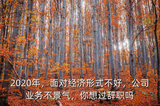 2020年，面對經(jīng)濟形式不好，公司業(yè)務不景氣，你想過辭職嗎