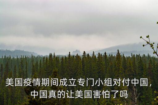 美國疫情期間成立專門小組對付中國，中國真的讓美國害怕了嗎