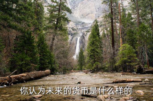 你認(rèn)為未來(lái)的貨幣是什么樣的