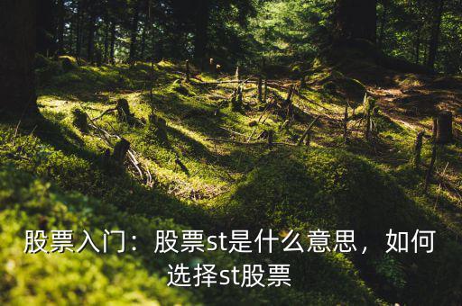股票入門：股票st是什么意思，如何選擇st股票