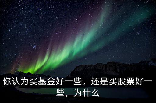 你認(rèn)為買(mǎi)基金好一些，還是買(mǎi)股票好一些，為什么