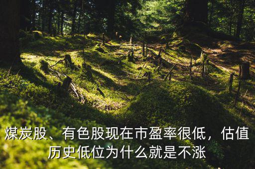煤炭股、有色股現(xiàn)在市盈率很低，估值歷史低位為什么就是不漲