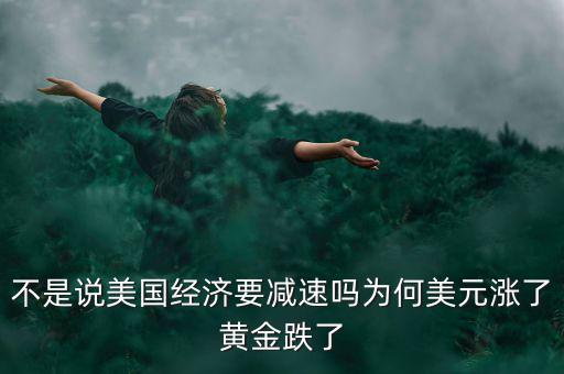 不是說美國(guó)經(jīng)濟(jì)要減速嗎為何美元漲了黃金跌了