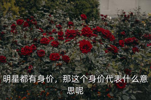 明星都有身價，那這個身價代表什么意思呢