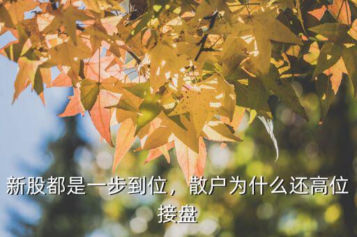 新股都是一步到位，散戶為什么還高位接盤