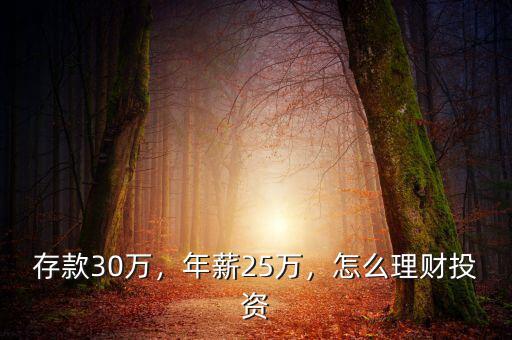 存款30萬，年薪25萬，怎么理財(cái)投資