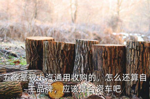 五菱是被上汽通用收購的，怎么還算自主品牌，應(yīng)該是合資車吧