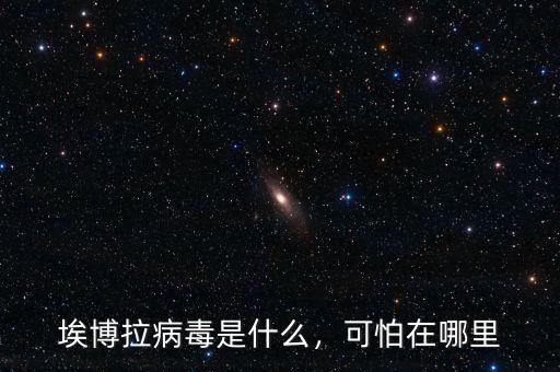 埃博拉病毒是什么，可怕在哪里