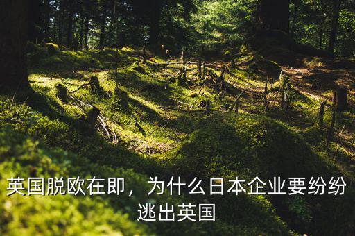 英國(guó)脫歐在即，為什么日本企業(yè)要紛紛逃出英國(guó)