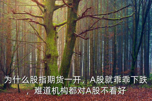 為什么股指期貨一開，A股就乖乖下跌，難道機構(gòu)都對A股不看好