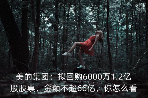 美的集團：擬回購6000萬1.2億股股票，金額不超66億，你怎么看