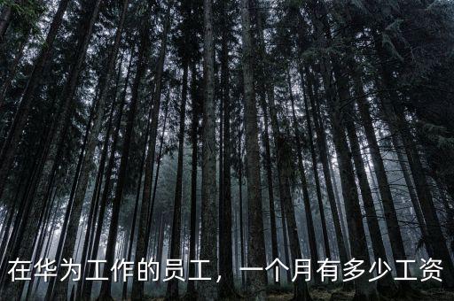 在華為工作的員工，一個(gè)月有多少工資