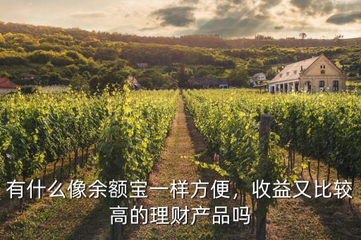 有什么像余額寶一樣方便，收益又比較高的理財(cái)產(chǎn)品嗎
