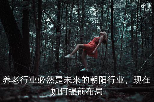 養(yǎng)老行業(yè)必然是未來的朝陽行業(yè)，現(xiàn)在如何提前布局