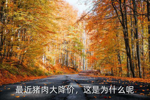 最近豬肉大降價(jià)，這是為什么呢