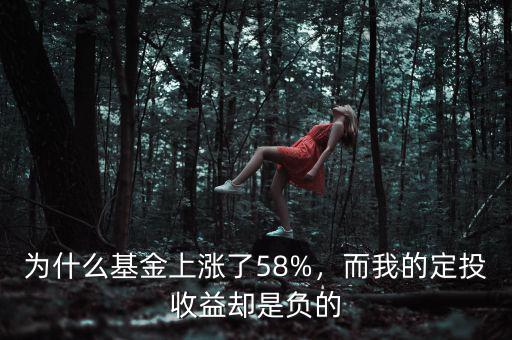 為什么基金上漲了58%，而我的定投收益卻是負(fù)的