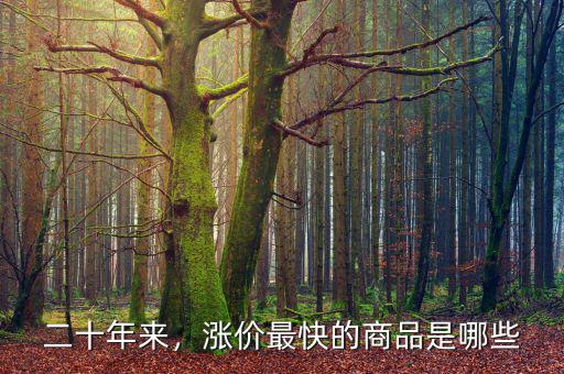 二十年來，漲價最快的商品是哪些