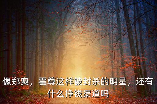 像鄭爽，霍尊這樣被封殺的明星，還有什么掙錢渠道嗎