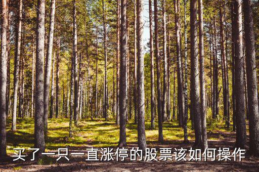 買(mǎi)了一只一直漲停的股票該如何操作