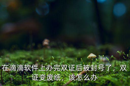 在滴滴軟件上辦完雙證后被封號了，雙證變廢紙，該怎么辦