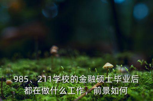 985、211學(xué)校的金融碩士畢業(yè)后都在做什么工作，前景如何