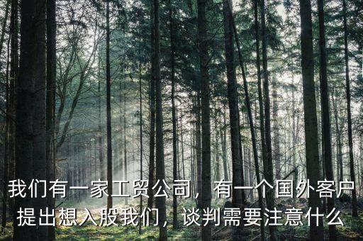 我們有一家工貿(mào)公司，有一個國外客戶提出想入股我們，談判需要注意什么
