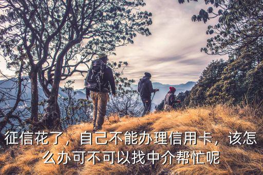 征信花了，自己不能辦理信用卡，該怎么辦可不可以找中介幫忙呢