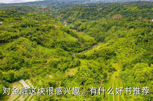 對(duì)金融這塊很感興趣，有什么好書(shū)推薦
