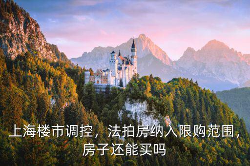 上海樓市調(diào)控，法拍房納入限購范圍，房子還能買嗎