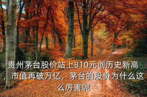 貴州茅臺股價站上810元創(chuàng)歷史新高，市值再破萬億，茅臺的股價為什么這么厲害呢