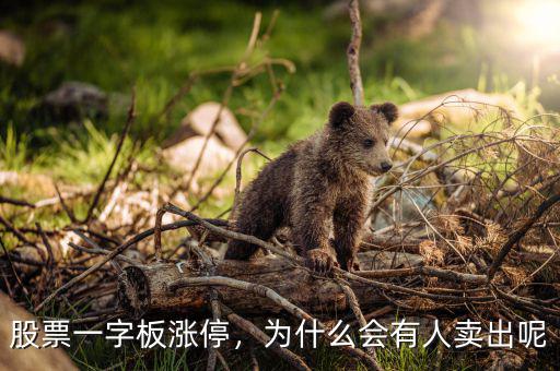 股票一字板漲停，為什么會有人賣出呢