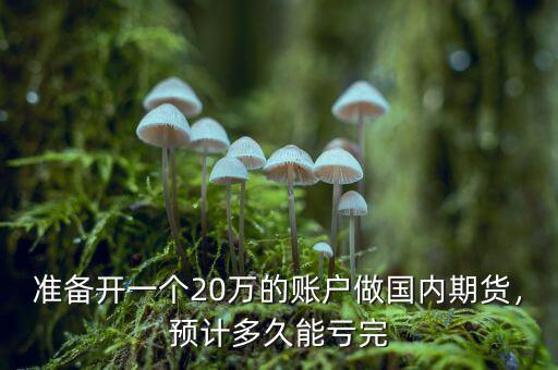 準(zhǔn)備開一個20萬的賬戶做國內(nèi)期貨，預(yù)計多久能虧完